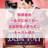 独孤皇后～乱世に咲く花～　全話感想とあらすじ キャスト紹介