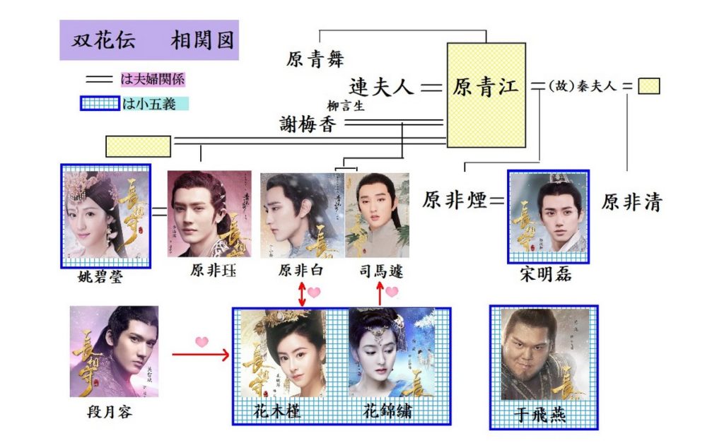 外国映画双花伝　運命を分かつ姉妹dvd全巻セット