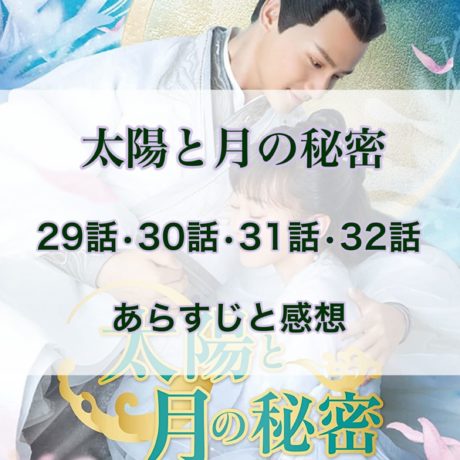 太陽と月の秘密　29話・30話・31話・31話　あらすじと感想