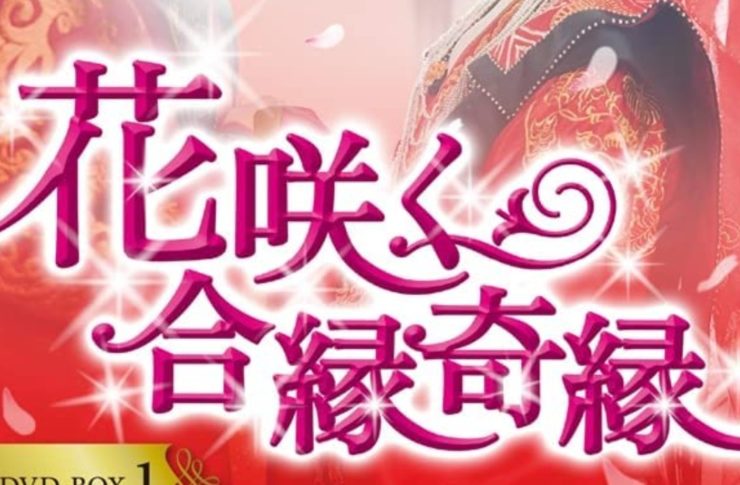 花咲く合縁奇縁