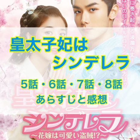 皇太子妃はシンデレラ　5話・6話・7話・8話　あらすじと感想
