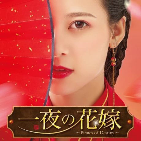 一夜の花嫁～Pirates of Destiny～