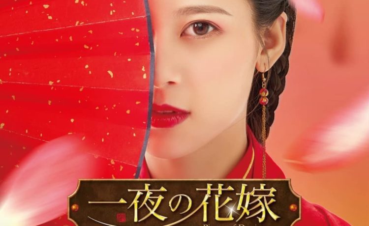 一夜の花嫁～Pirates of Destiny～