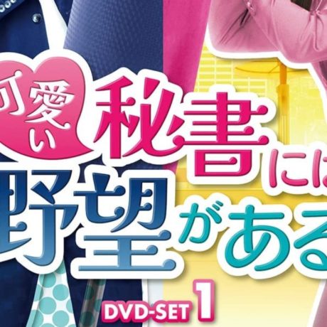 可愛い秘書には野望がある　キャスト・相関図　あらすじ　ネタバレ