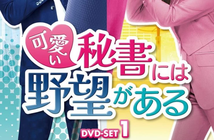 可愛い秘書には野望がある　キャスト・相関図　あらすじ　ネタバレ