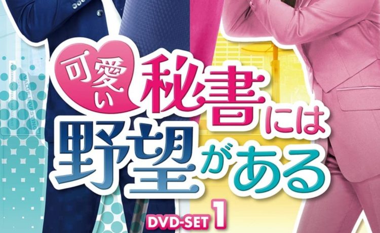 可愛い秘書には野望がある　キャスト・相関図　あらすじ　ネタバレ