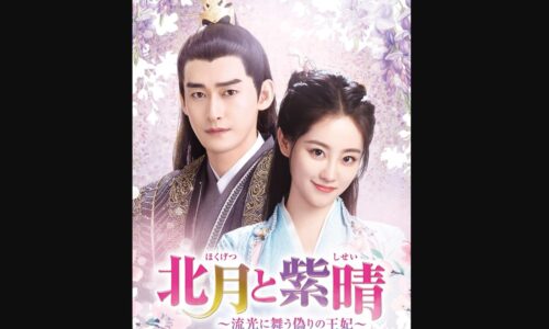 北月と紫晴~流光に舞う偽りの王妃~