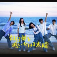 向日葵を追いかける太陽